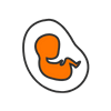 pregnancy free classes online (4) (1)